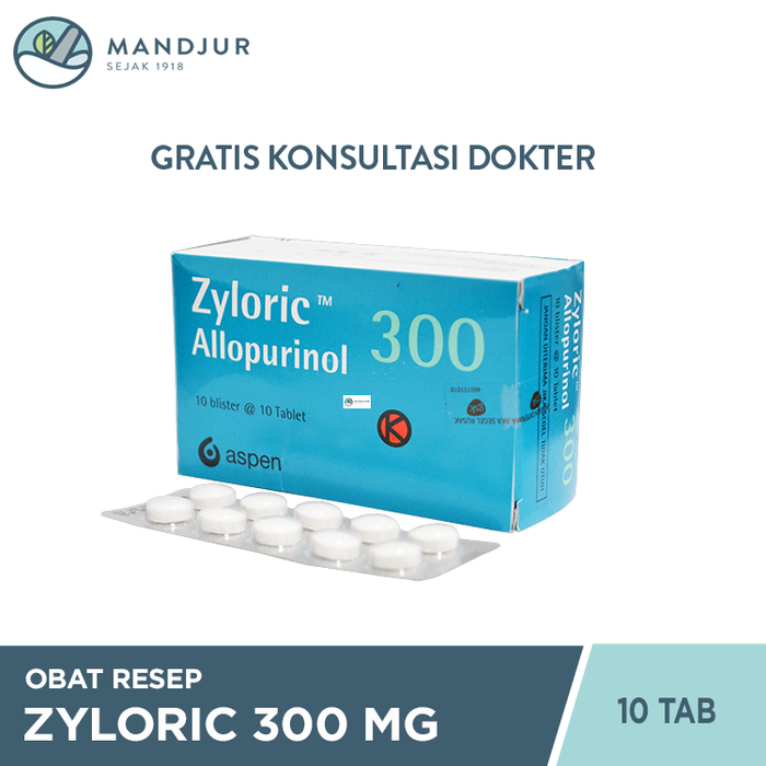 Zyloric 300 Mg Strip 10 Tablet