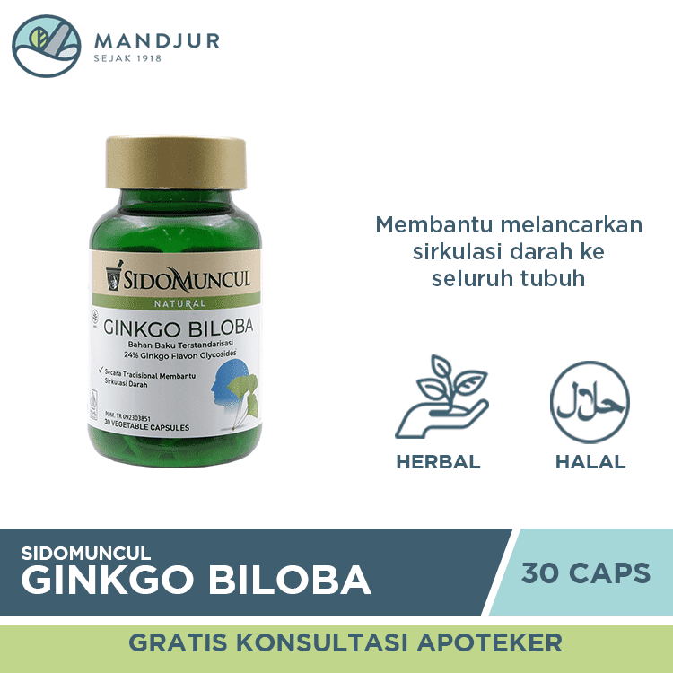 Sido Muncul Ginkgo Biloba 30 Kapsul — Apotek Mandjur